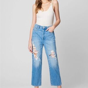 Blank NYC The Baxter Distressed Straight Leg Jeans NWT Size 26